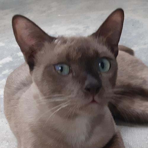 สมาชิกหมายเลข 1124913