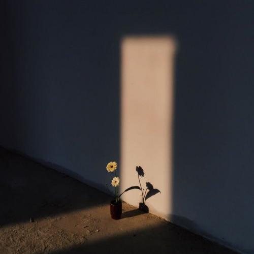 สมาชิกหมายเลข 2057698