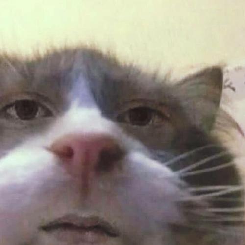 สมาชิกหมายเลข 5058413