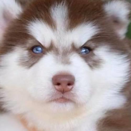 สมาชิกหมายเลข 5634057