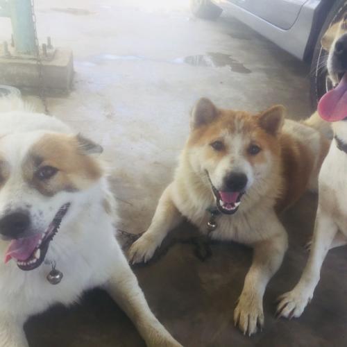 สมาชิกหมายเลข 5766851