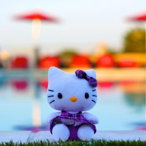 สมาชิกหมายเลข 5772857