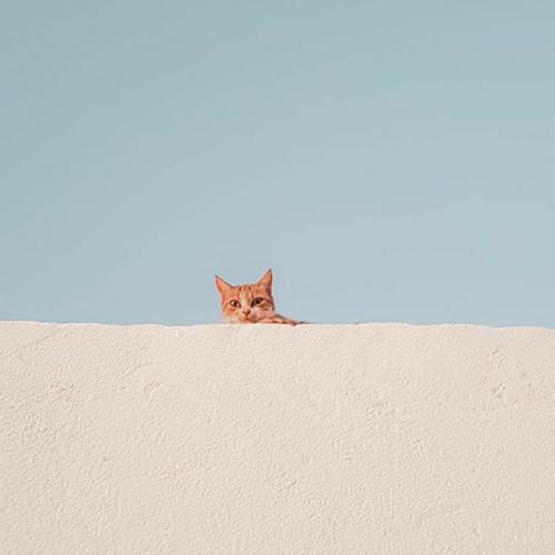 สมาชิกหมายเลข 6031372