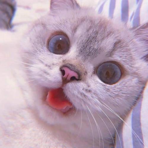 สมาชิกหมายเลข 6277402