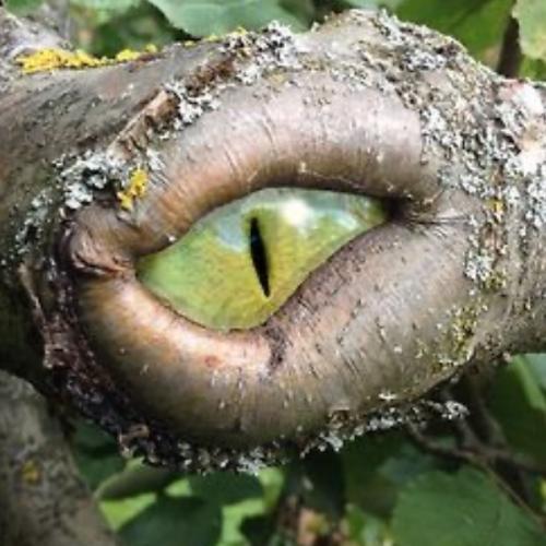 สมาชิกหมายเลข 6516656