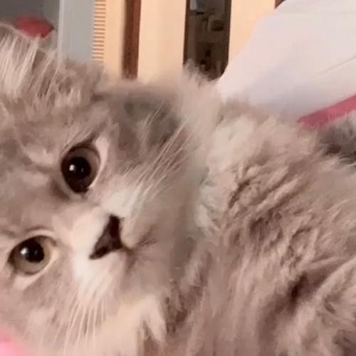 สมาชิกหมายเลข 1892507