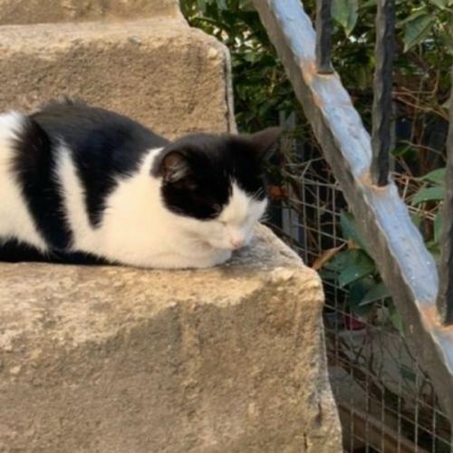 สมาชิกหมายเลข 7215051