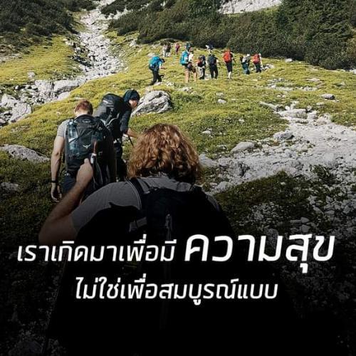 สมาชิกหมายเลข 7229106