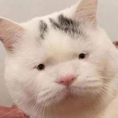 สมาชิกหมายเลข 9064807