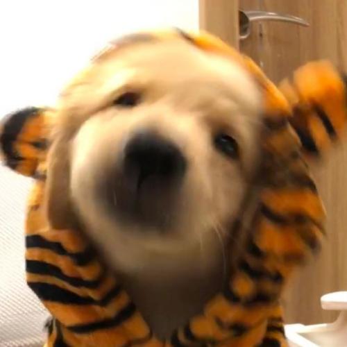 สมาชิกหมายเลข 9065321