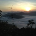 สมาชิกหมายเลข 3803489