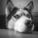 สมาชิกหมายเลข 4267761