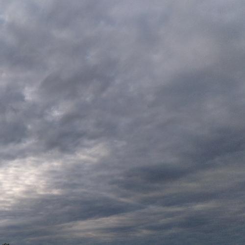 สมาชิกหมายเลข 4881825