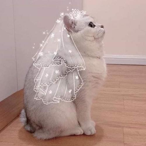 สมาชิกหมายเลข 5914997