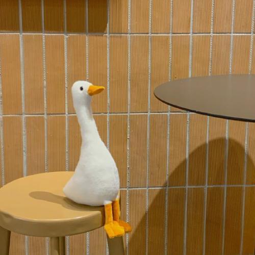 สมาชิกหมายเลข 6147227