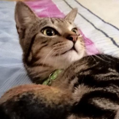 สมาชิกหมายเลข 8044489