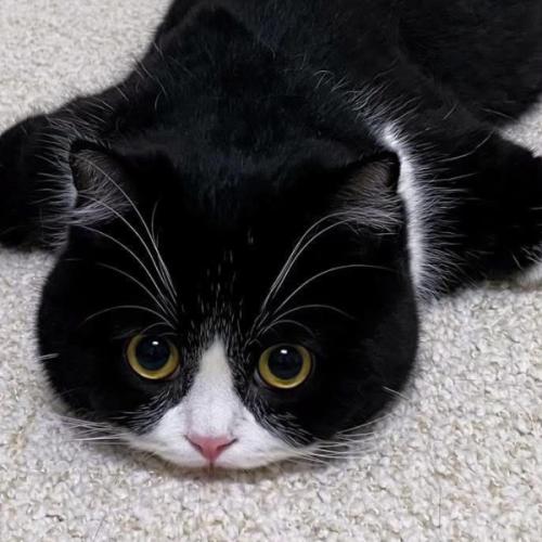 สมาชิกหมายเลข 8473277