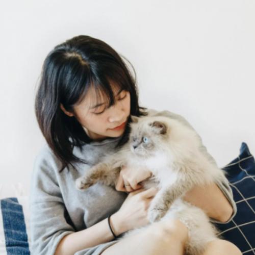 สมาชิกหมายเลข 9065153