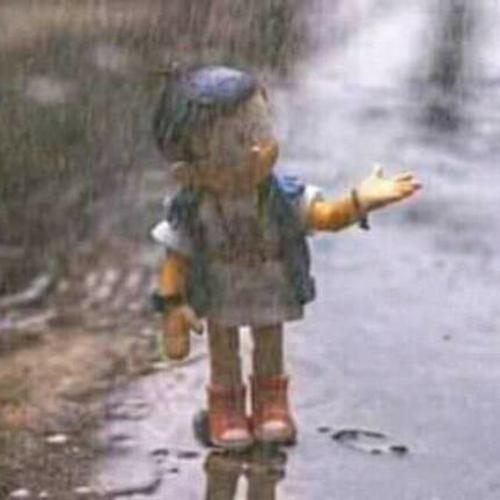 สมาชิกหมายเลข 5232747