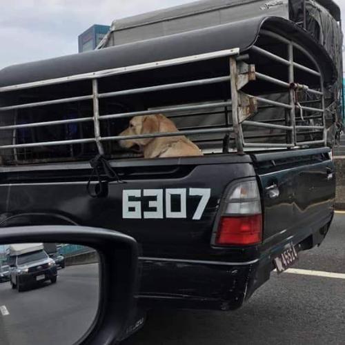 สมาชิกหมายเลข 5407484