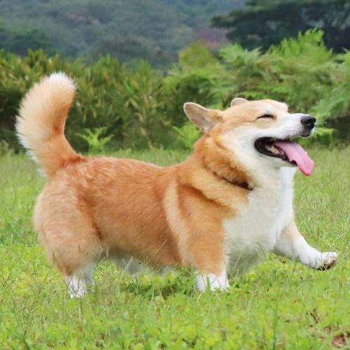 สมาชิกหมายเลข 5913341