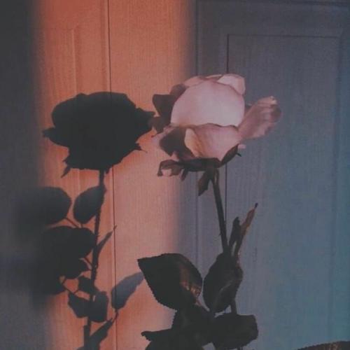 สมาชิกหมายเลข 6517870