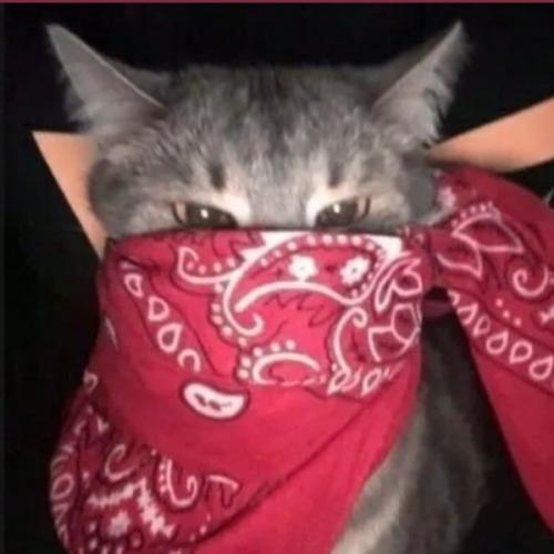 สมาชิกหมายเลข 7231231