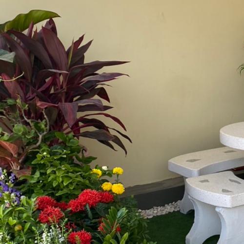 สมาชิกหมายเลข 7833534