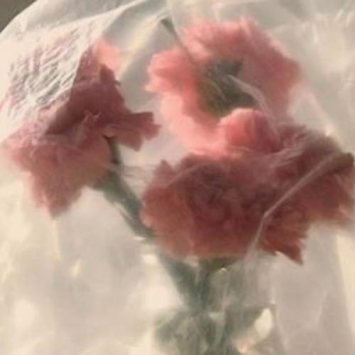 สมาชิกหมายเลข 8044718