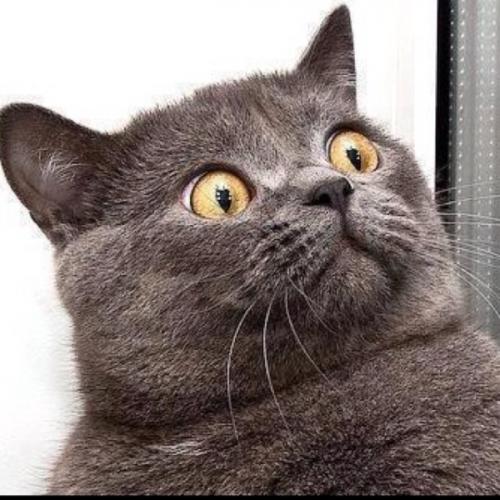 สมาชิกหมายเลข 6624026