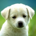 สมาชิกหมายเลข 3484068