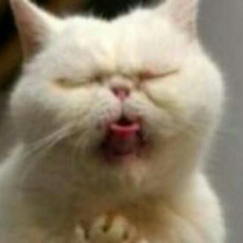 สมาชิกหมายเลข 4607854