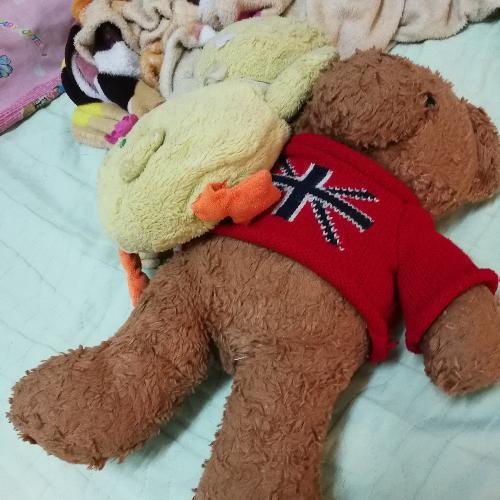 สมาชิกหมายเลข 5003097