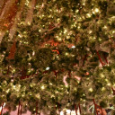 สมาชิกหมายเลข 5014440