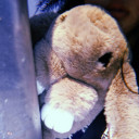 สมาชิกหมายเลข 5407880