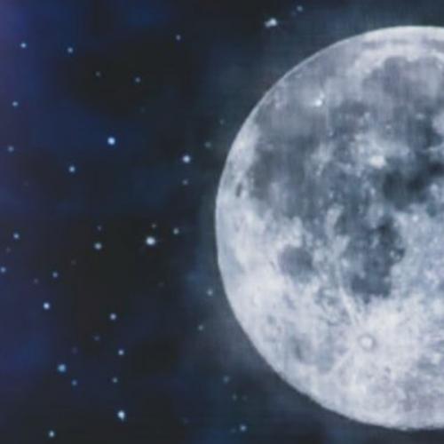 สมาชิกหมายเลข 3902205