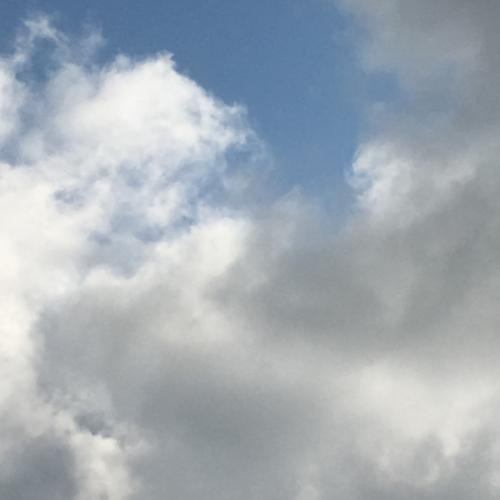 สมาชิกหมายเลข 5915753