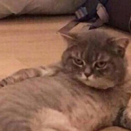 สมาชิกหมายเลข 6097009