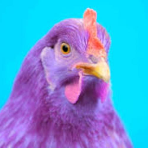 สมาชิกหมายเลข 6518552