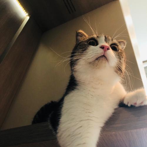 สมาชิกหมายเลข 1661971