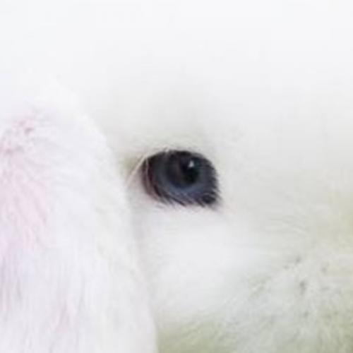 สมาชิกหมายเลข 8035779