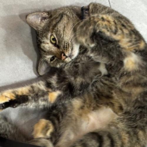 สมาชิกหมายเลข 1018865