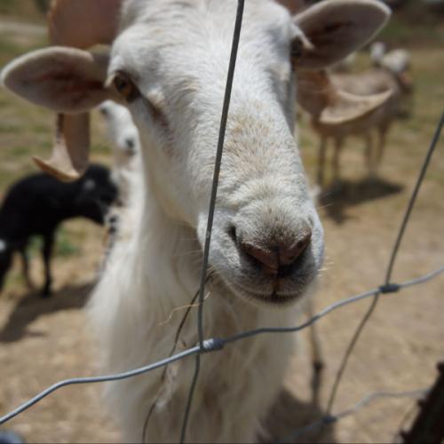 สมาชิกหมายเลข 1629254