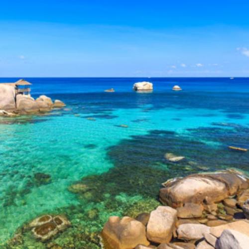 สมาชิกหมายเลข 2357582