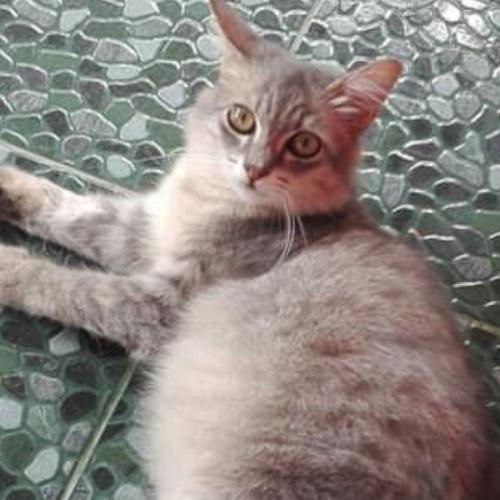 สมาชิกหมายเลข 3884672