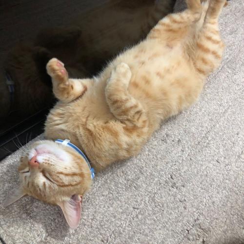 สมาชิกหมายเลข 5283075