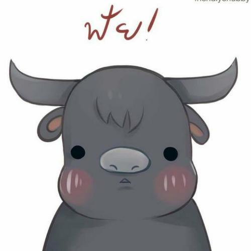 สมาชิกหมายเลข 6519268