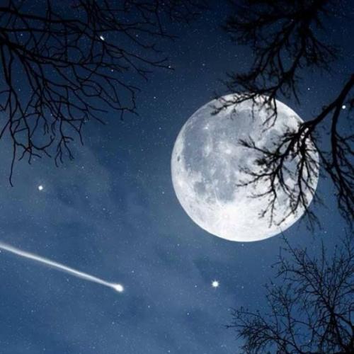 สมาชิกหมายเลข 6200200