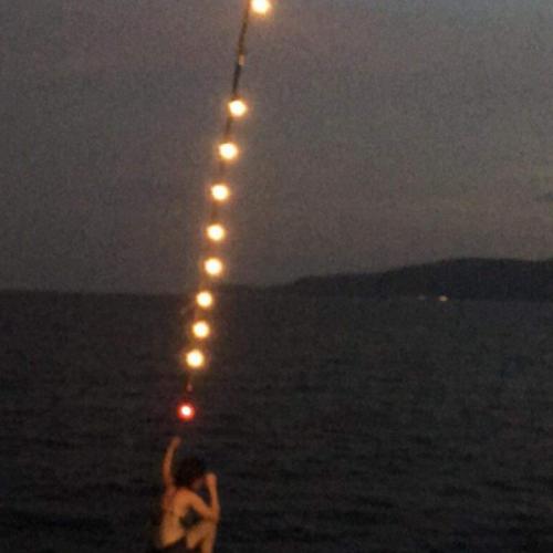 สมาชิกหมายเลข 7232194