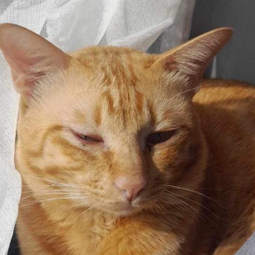 สมาชิกหมายเลข 4449607